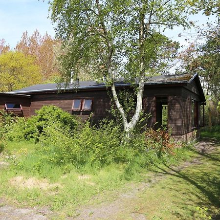 Huisje Vogelsand 't Horntje Kültér fotó